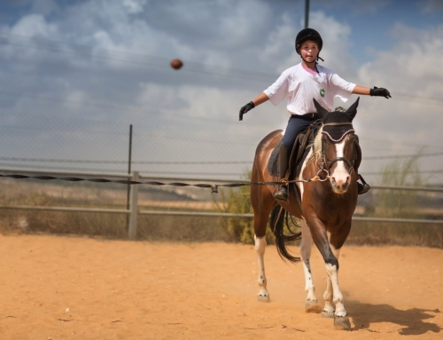 השפעת הרכיבה הטיפולית